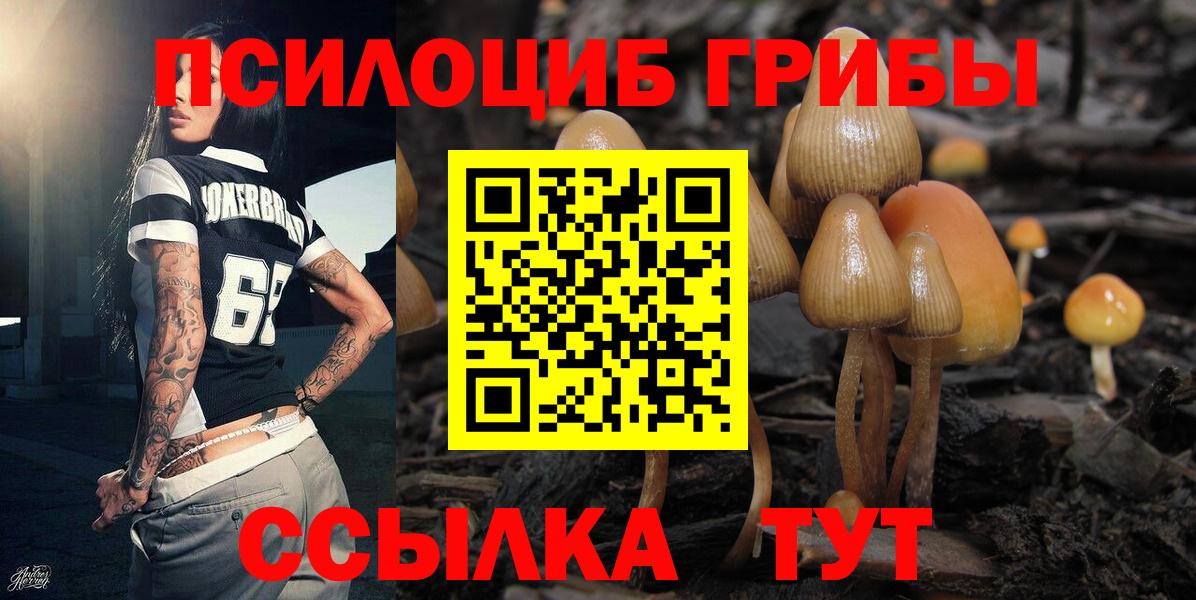 Кохма  Псилоцибиновые грибы мухоморы  Галлюциногенные грибы Cubensis  хочу наркоту  Вход с VPN 