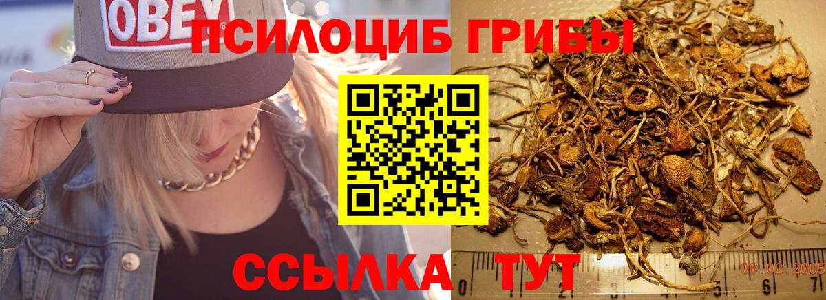 Галлюциногенные грибы GOLDEN TEACHER Кохма